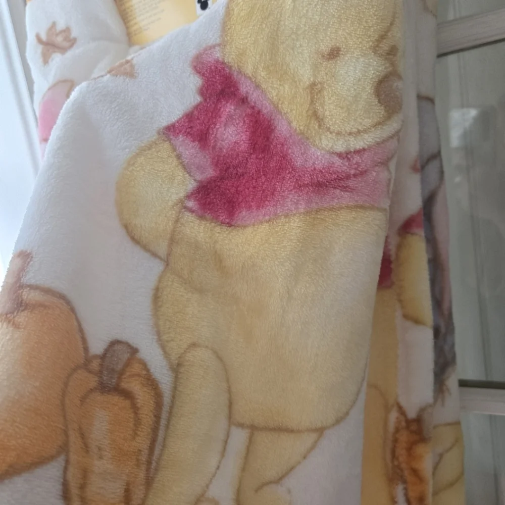 SOLD‼️Disney Winnie The Pooh Plush Fall Leaves Throw Blanket - Picture 4 of 9